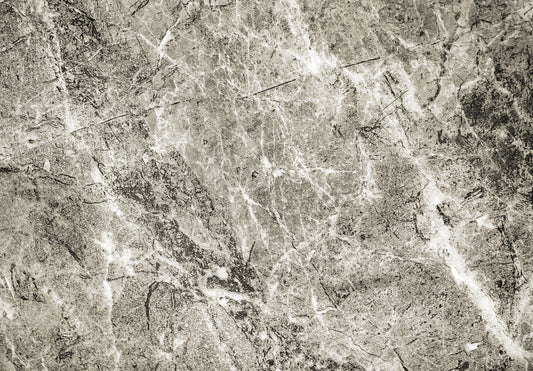 M1 - Microlamina Panels