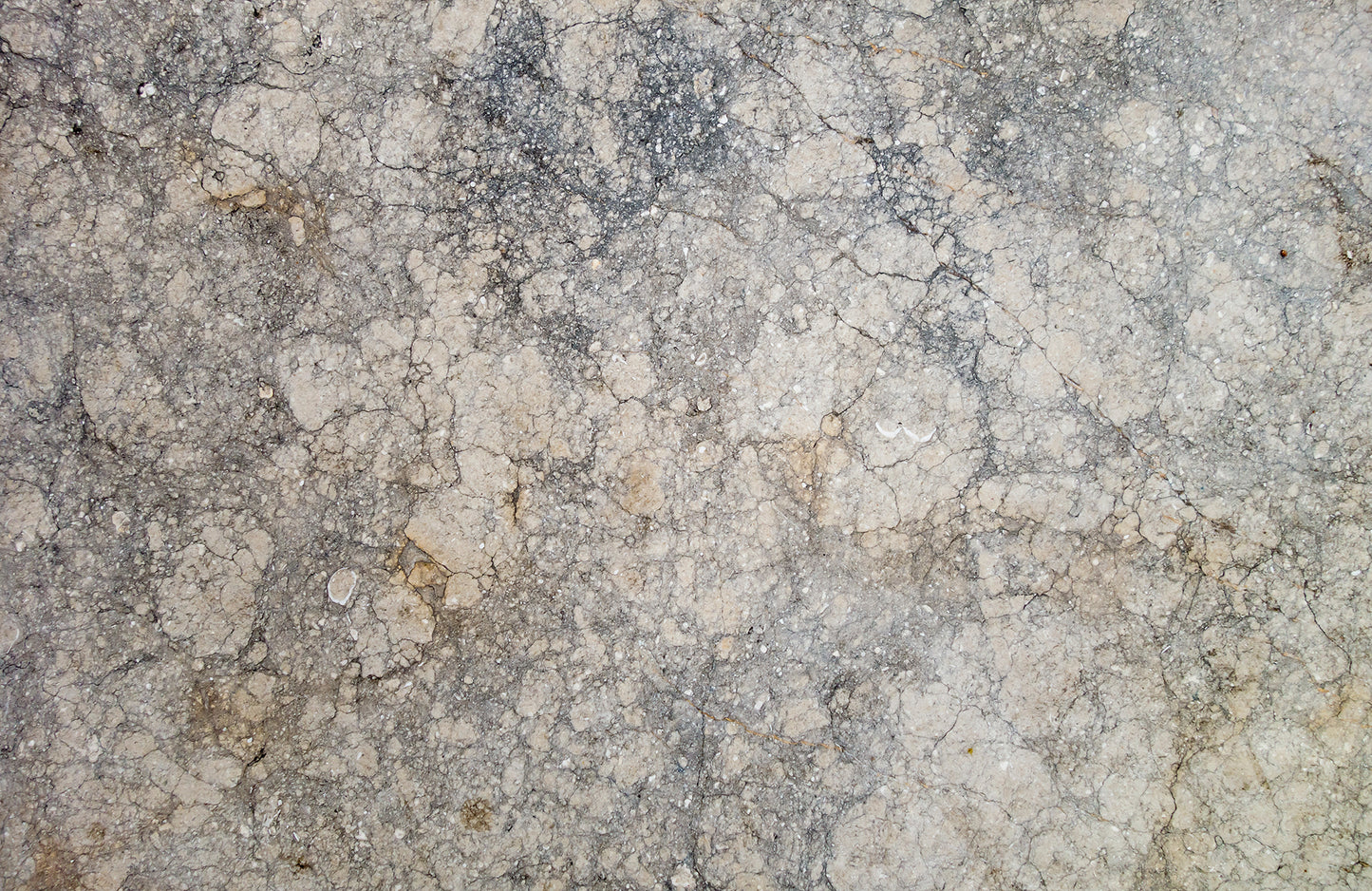 M25 - Microlamina Panels