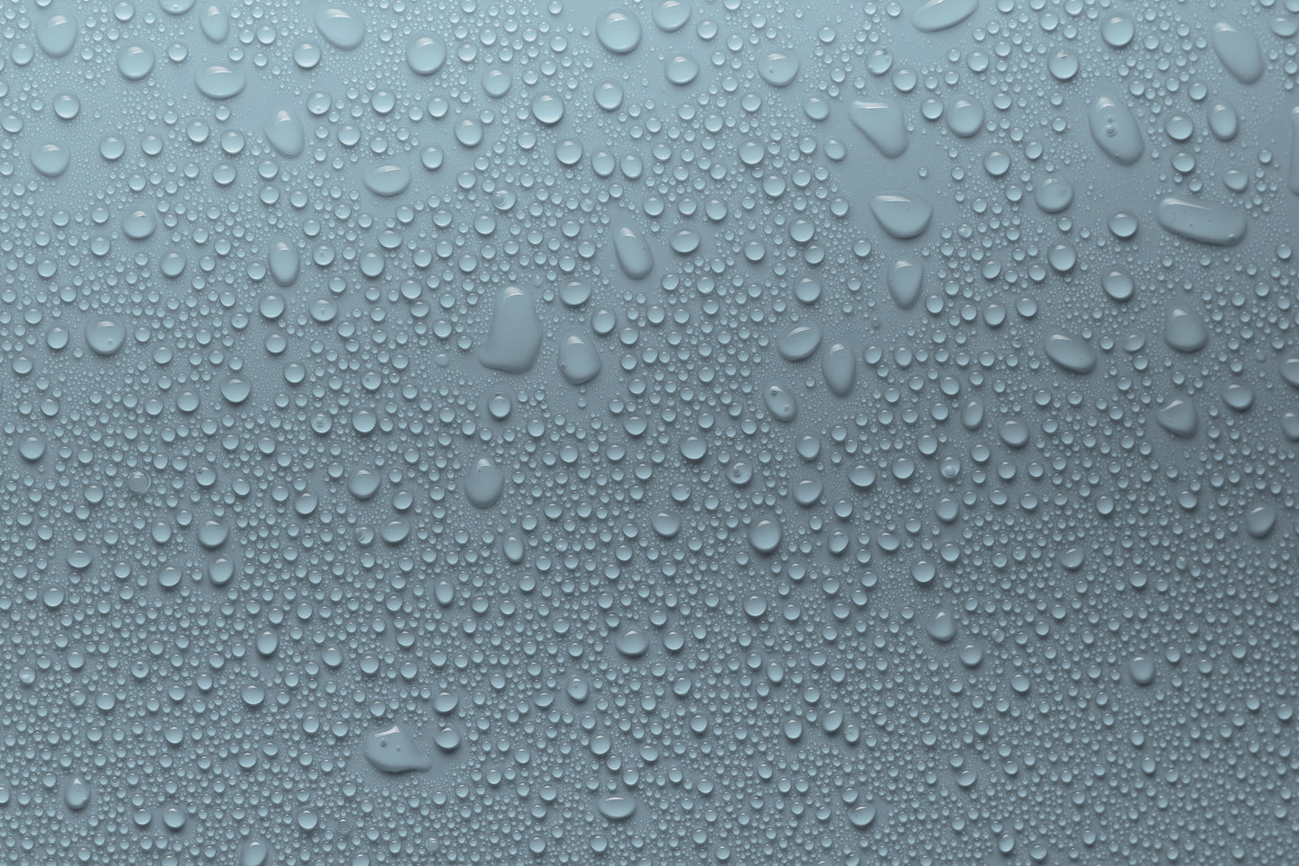 Wet