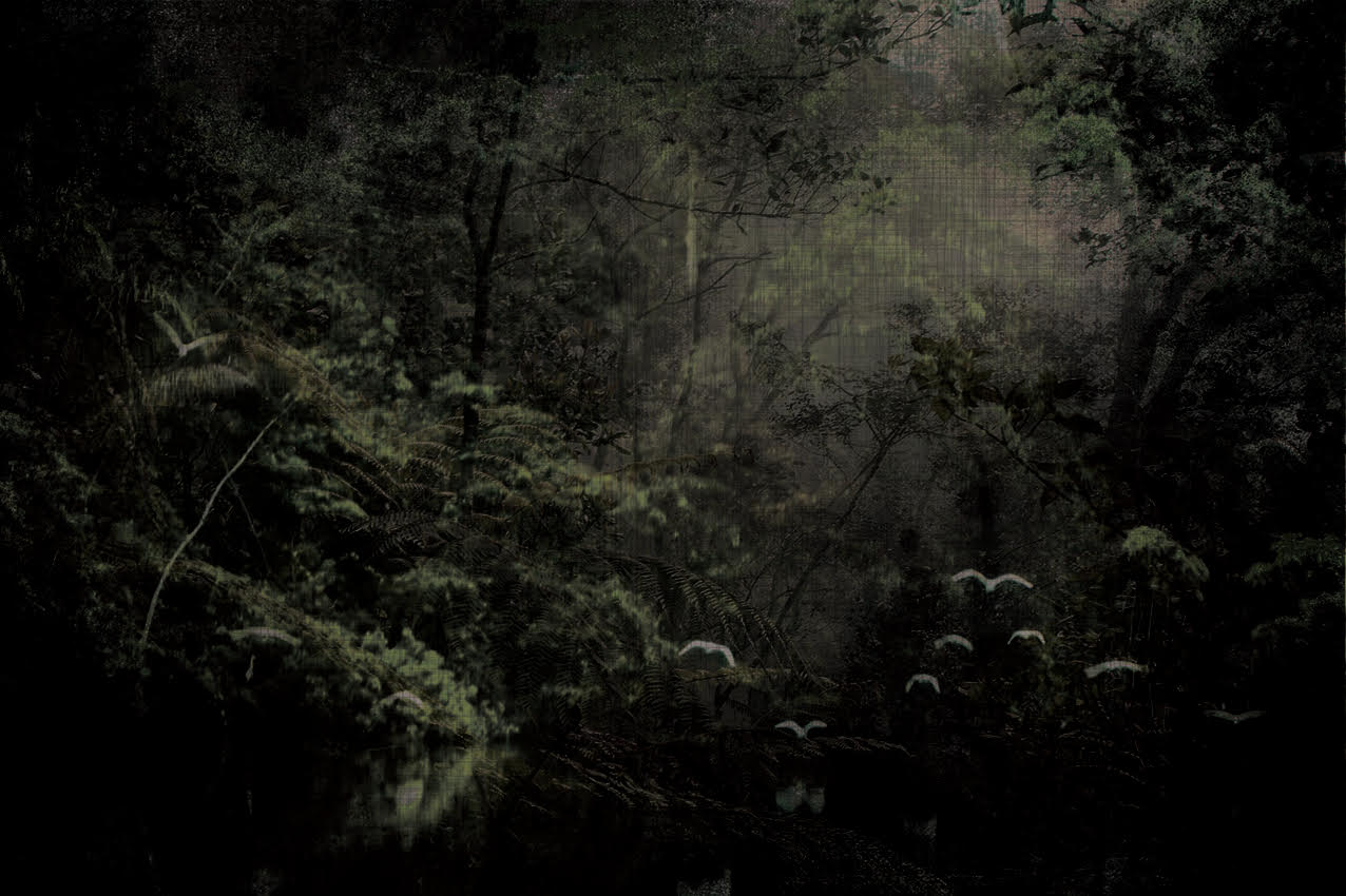 Woods