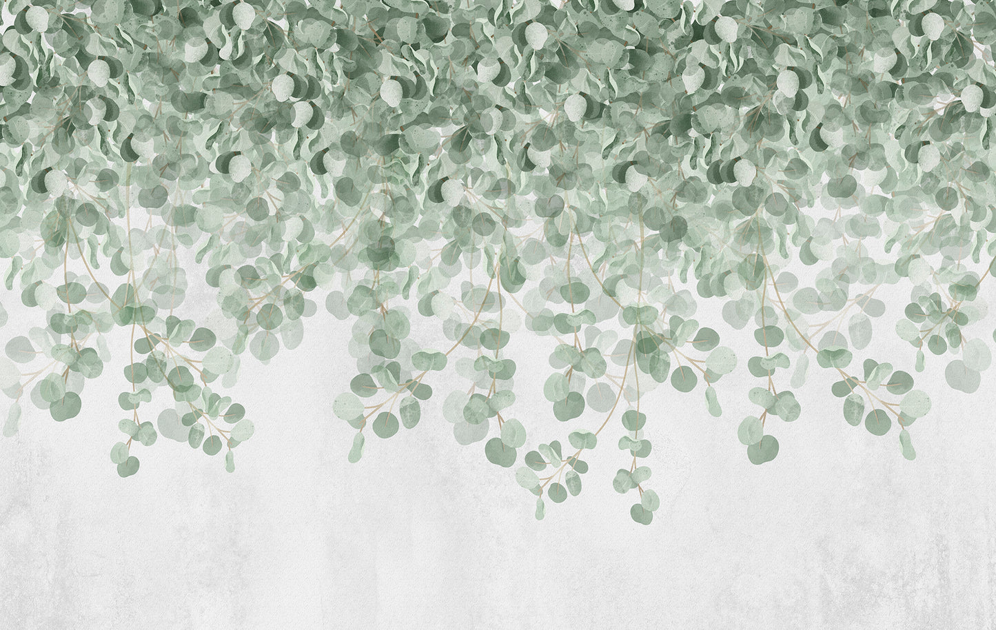 Eucalyptus