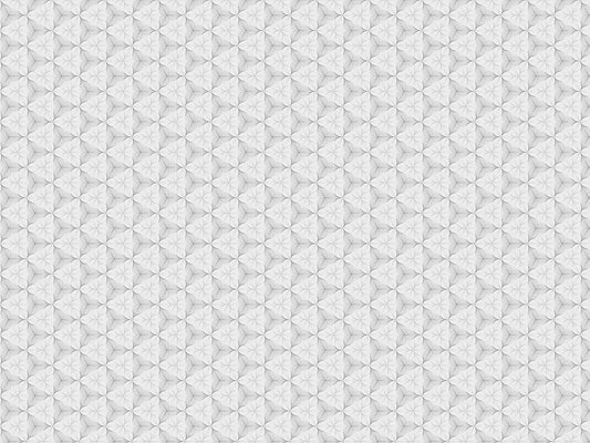 MP 10 - Microlamina Panels