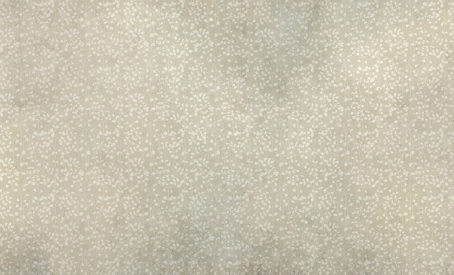 Speckle