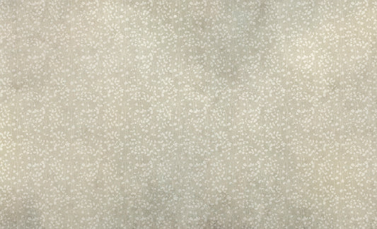 Speckle