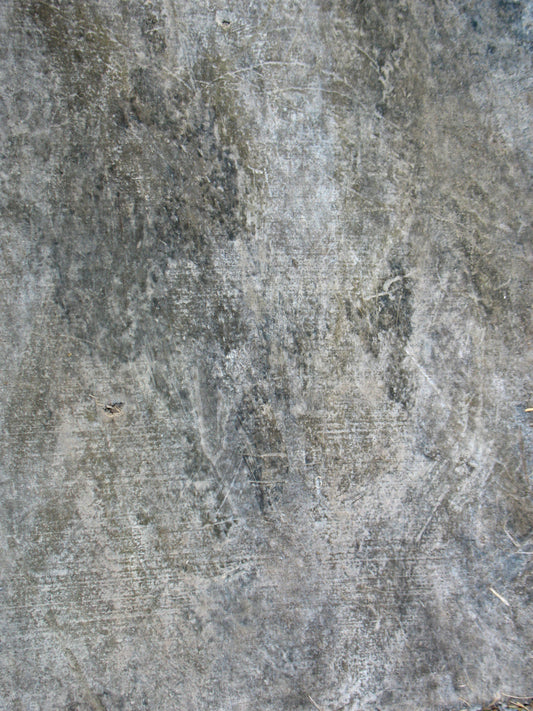 M2 Abstract - Microlamina Panels