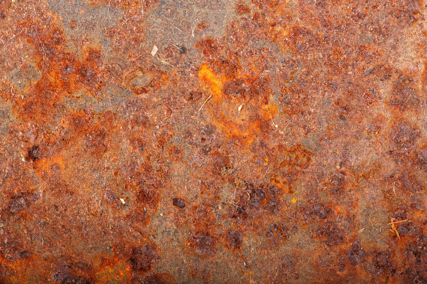 M36 Abstract - Microlamina Panels