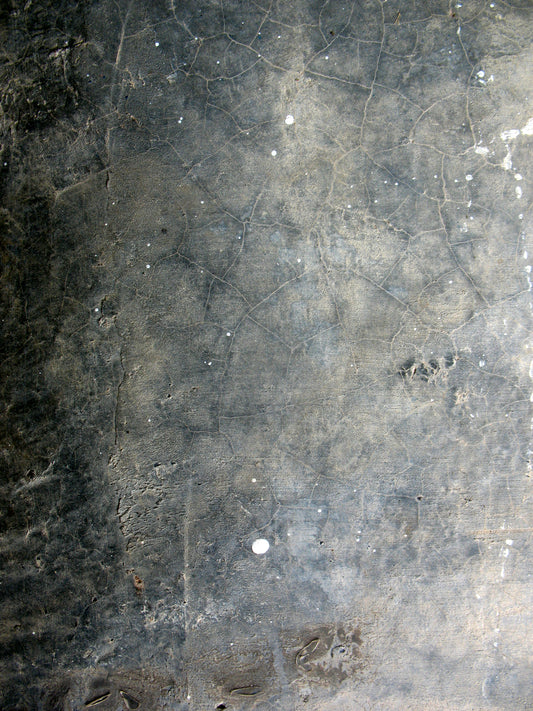 M6 Abstract - Microlamina Panels