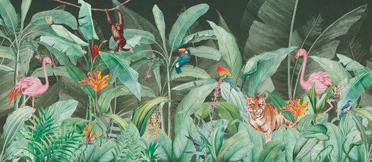 Amazzonia