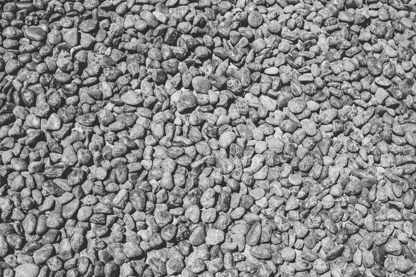 MBW 7 - Microlamina Panels