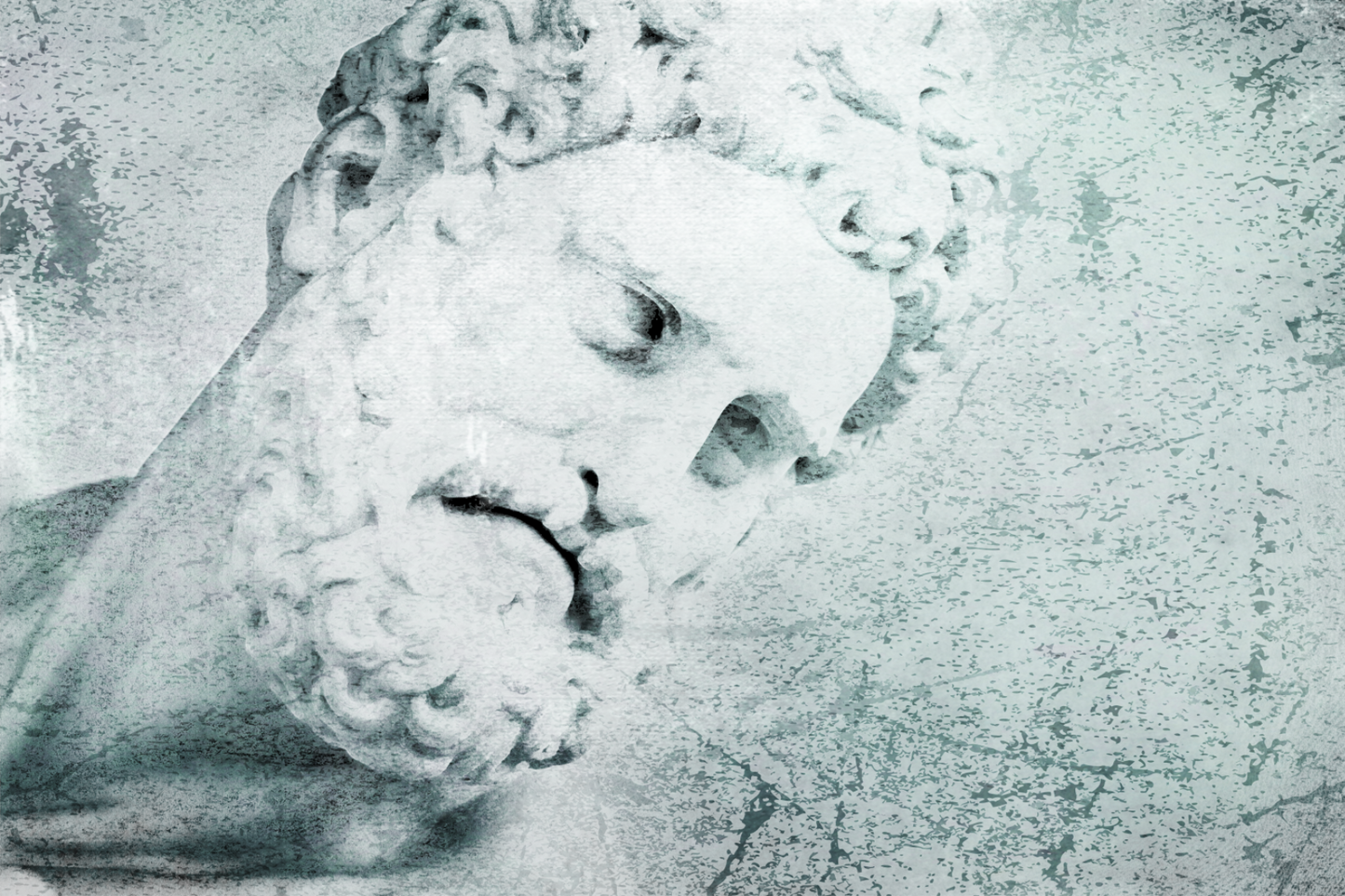 Ercole