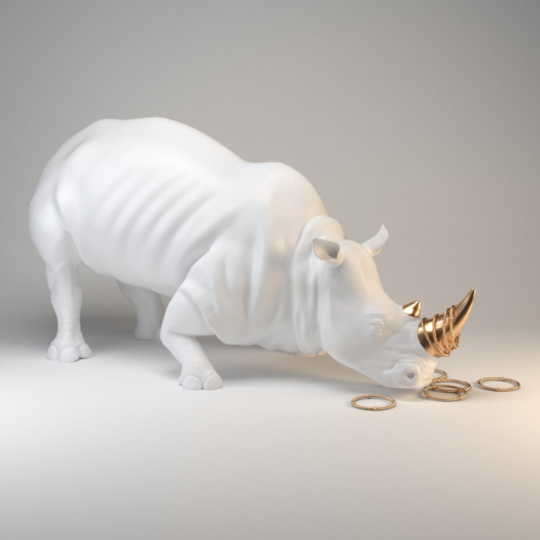 The world is a ZOO - Rhinoceros