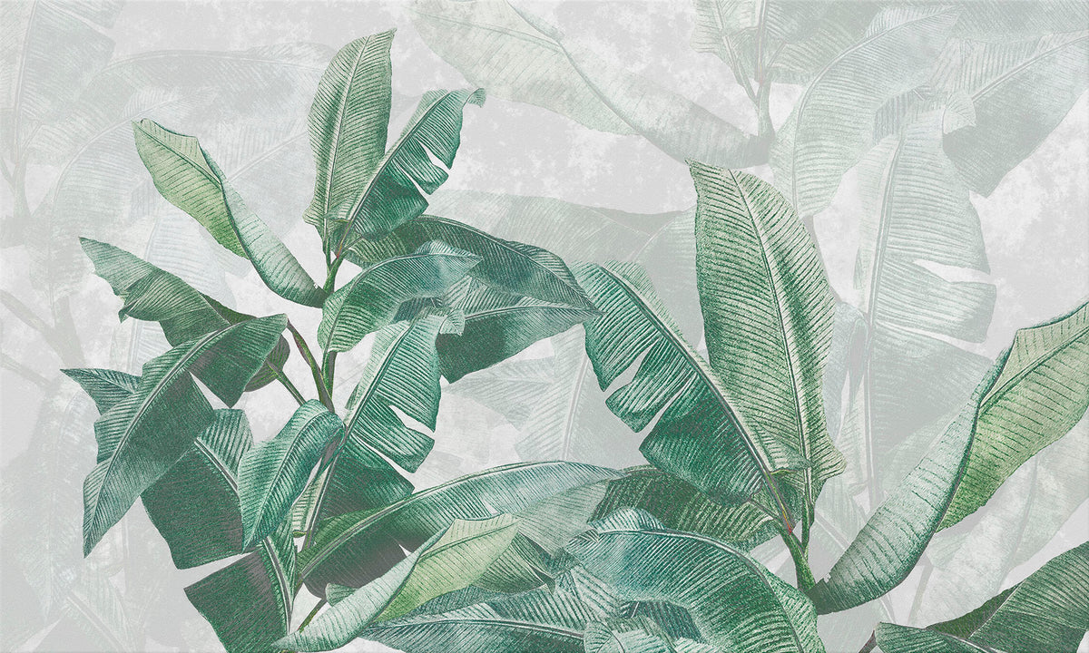 Canopy