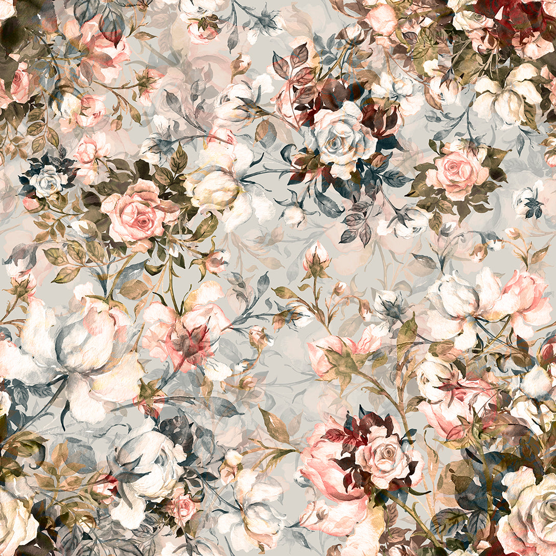 Silene