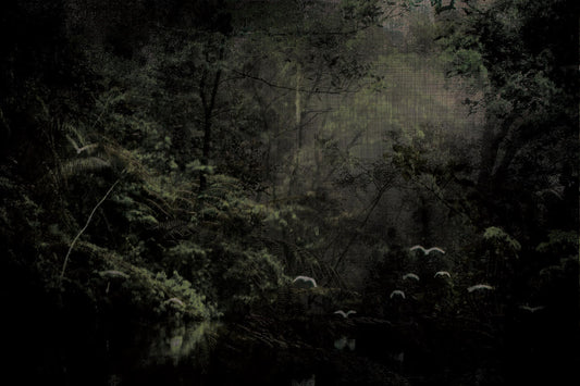 Woods