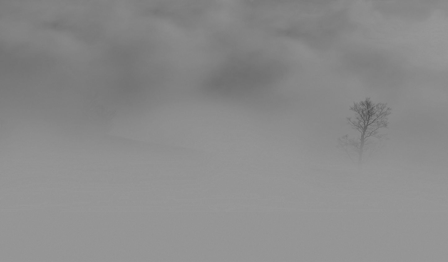Lost