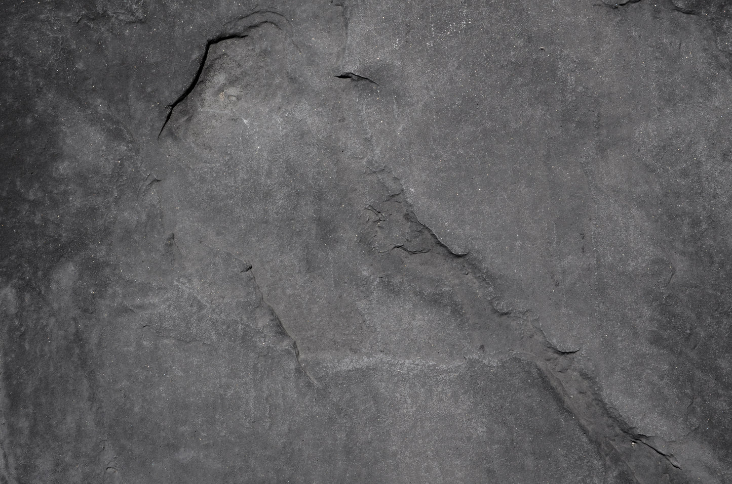 ML 22 - Microlamina Panels